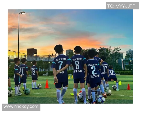 陆霖足球：探索中国足球青训新模式与未来发展潜力